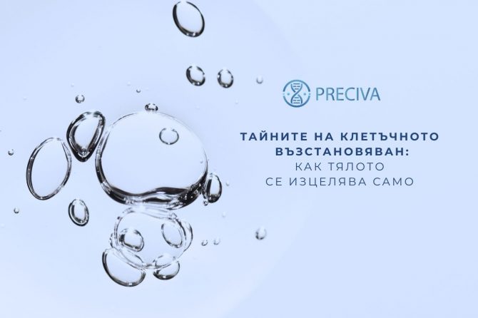Тайните на клетъчното възстановяване – как тялото ви се изцелява само